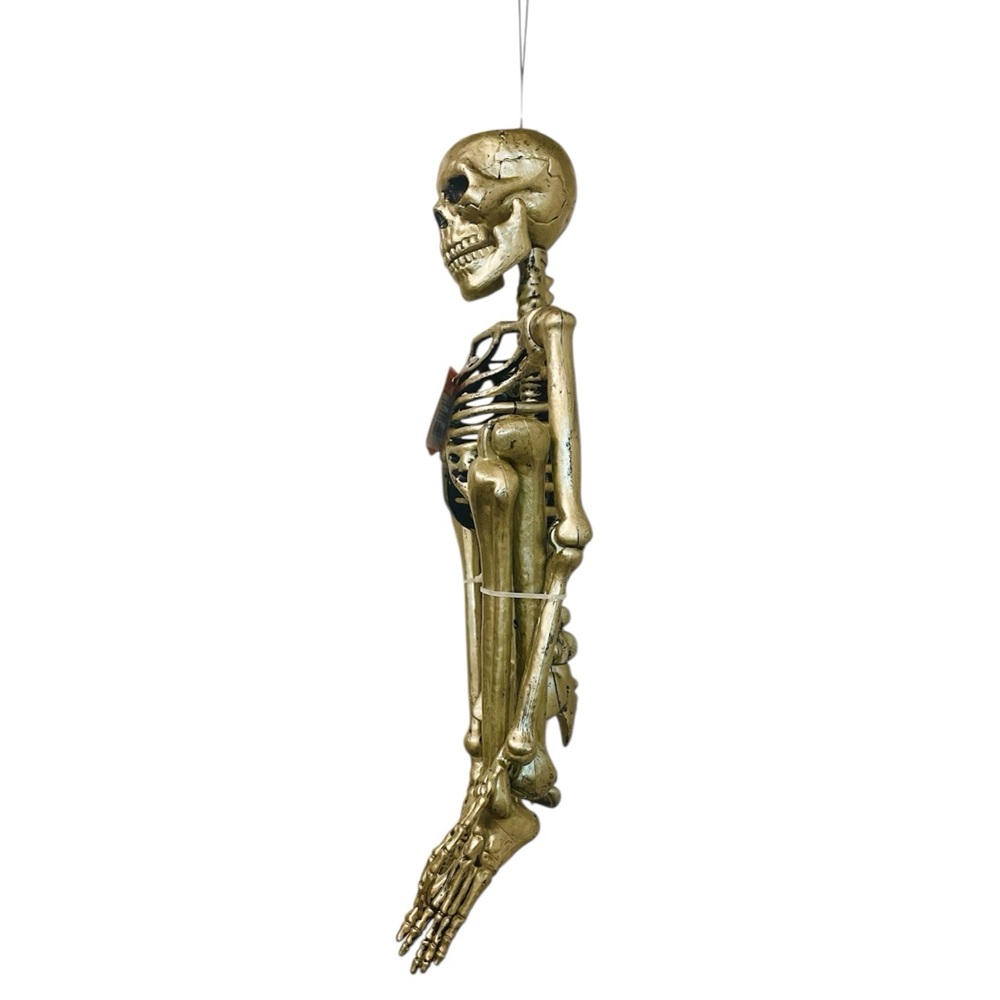 Hyde and EEK! 36" Posable Skeleton Halloween Decorative Prop - Picture 6 of 9